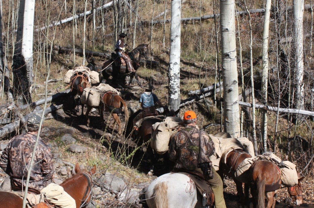 The Wilderness Hunt PackIn Explained Flat Tops Wilderness Guides