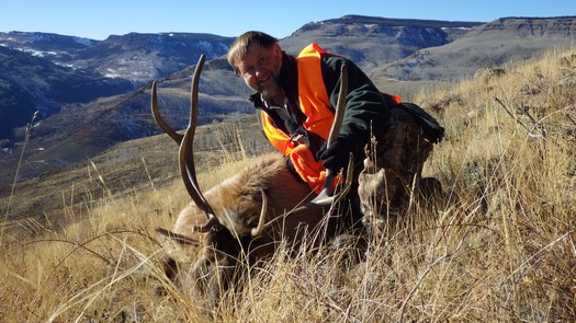 Elk Hunting 4th Season
