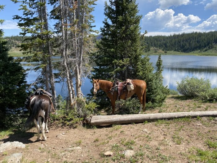 horseback fishing trips