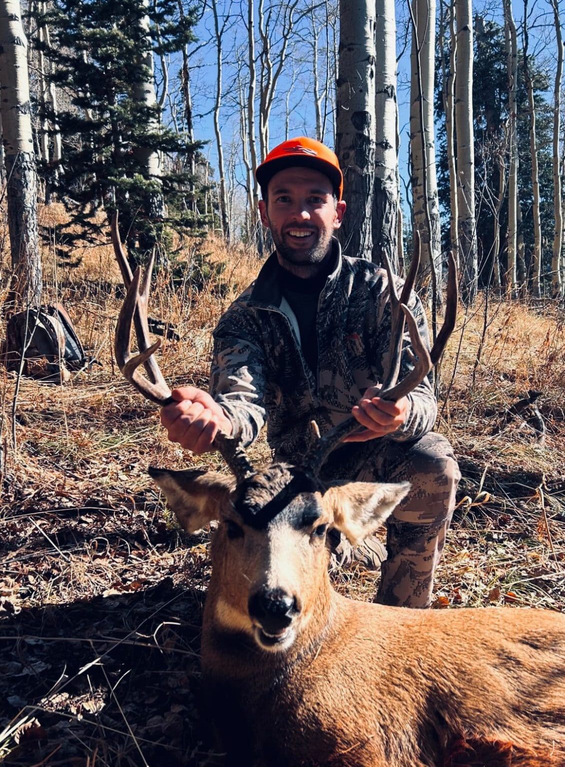 Guide to the Colorado 2024 Big Game Draw For: Elk, Mule Deer, and Bear ...