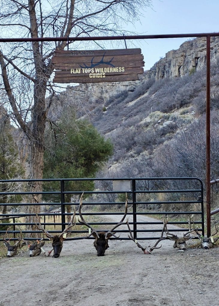 2nd Rifle Colorado draw mule deer elk hunting guided guides drop camp outfitter