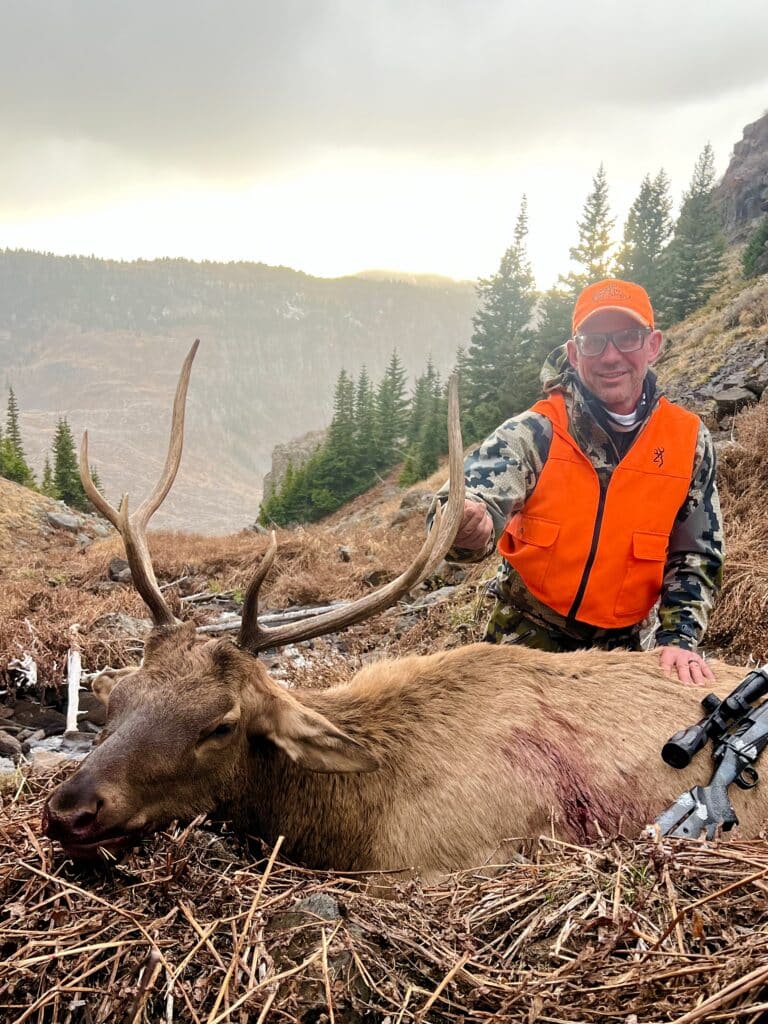 1st Rifle elk hunting Colorado guided hunt drop camp