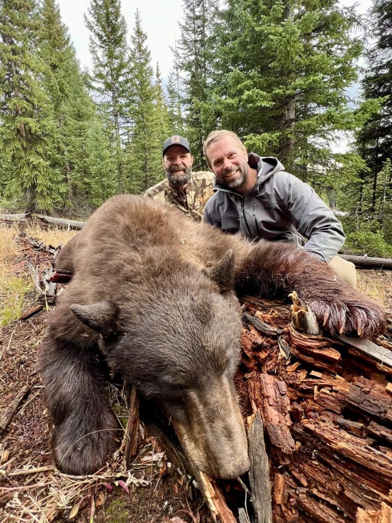 Bear hunt Colorado