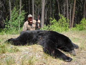 Spot and Stalk Coastal Black Bears