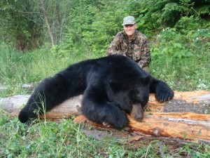 BC Bear Hunts